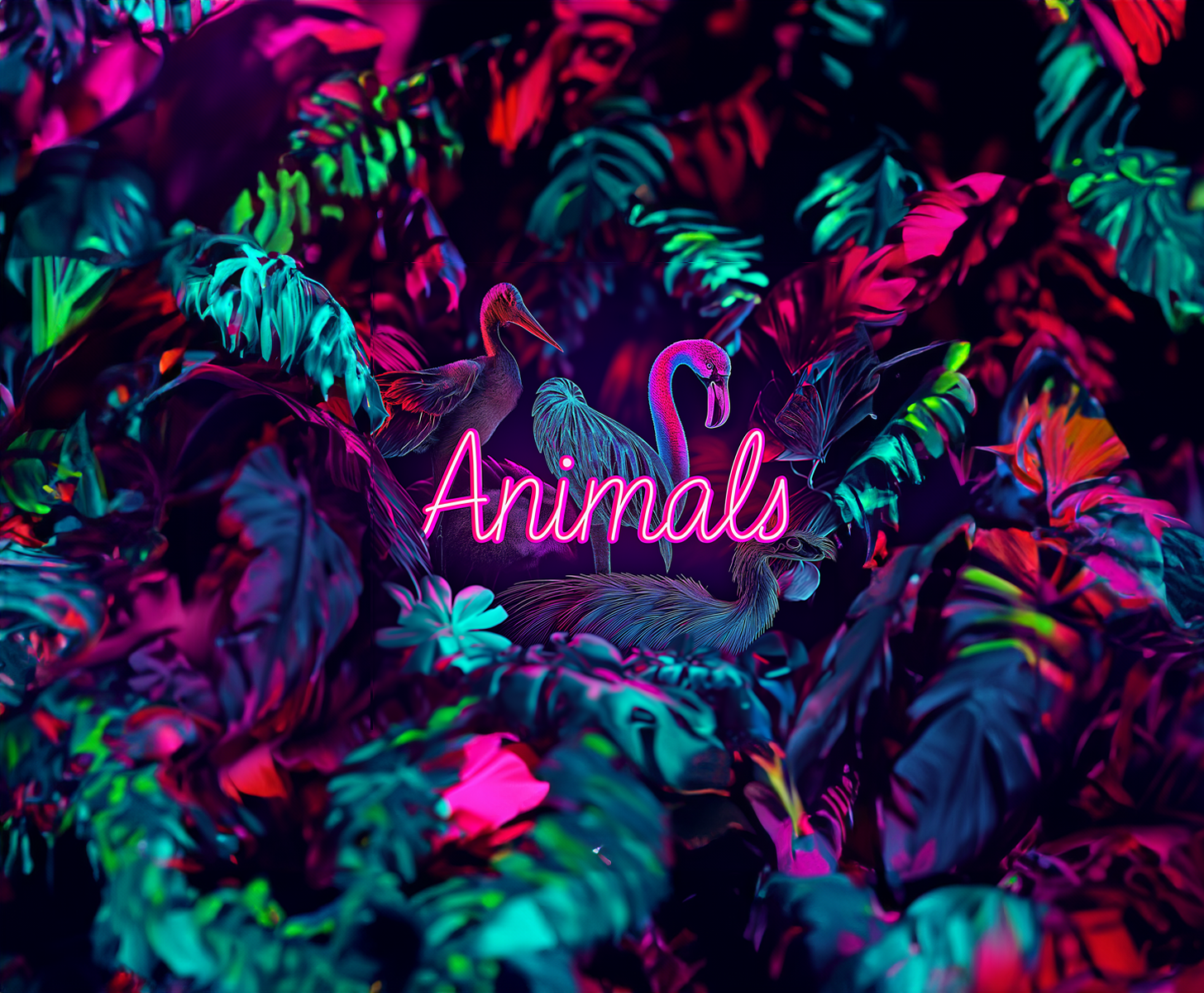 animals